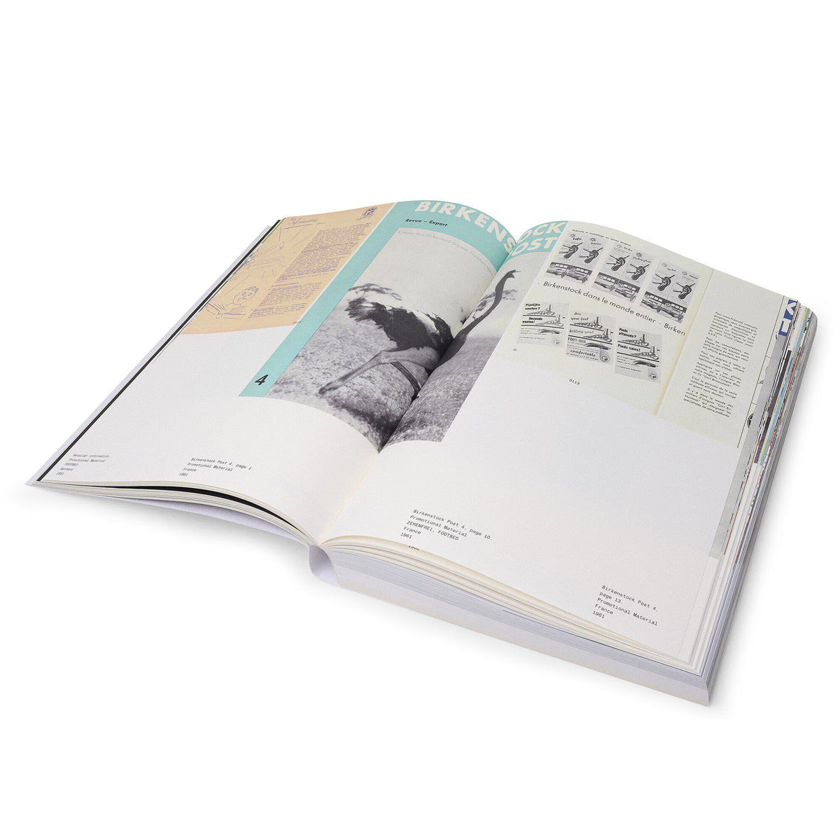 The Book of Birkenstock Paper Multi